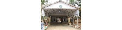 வைஷ்ணவி- சென்னை- தமிழ்நாடு